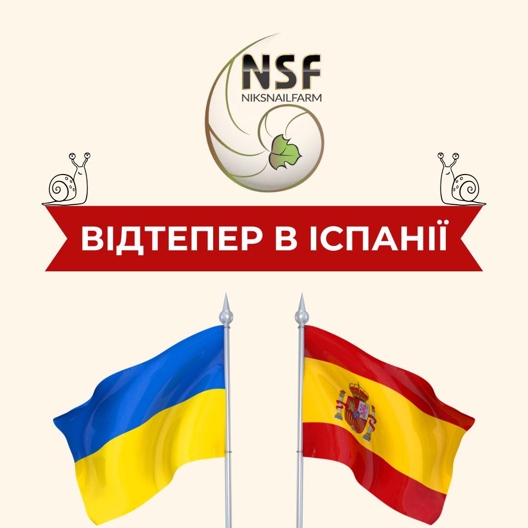 Ми – в Іспанії!